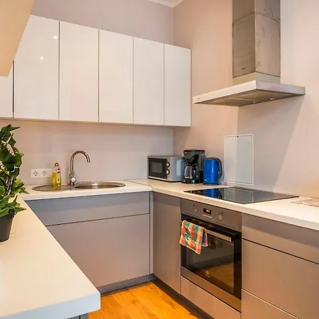 Апартаменты 2-level Penthouse With Terrace And Free Parking